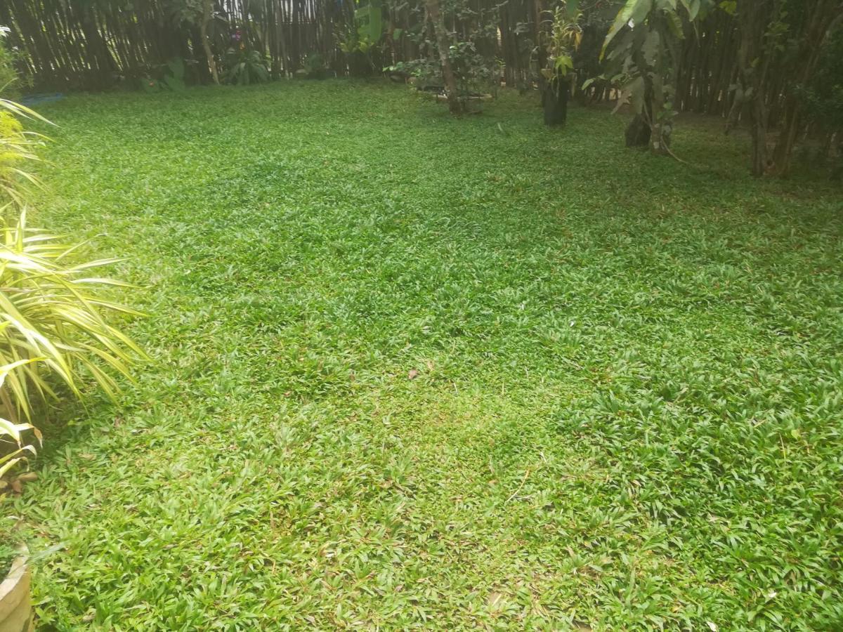 Bamboo Home Stay Hiriketiya Dikwella Ngoại thất bức ảnh