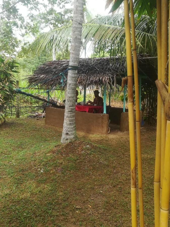 Bamboo Home Stay Hiriketiya Dikwella Ngoại thất bức ảnh