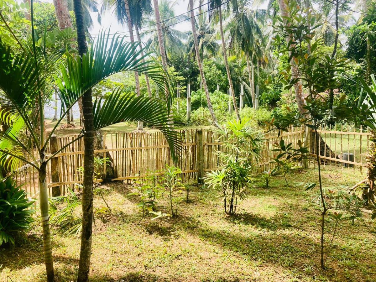 Bamboo Home Stay Hiriketiya Dikwella Ngoại thất bức ảnh