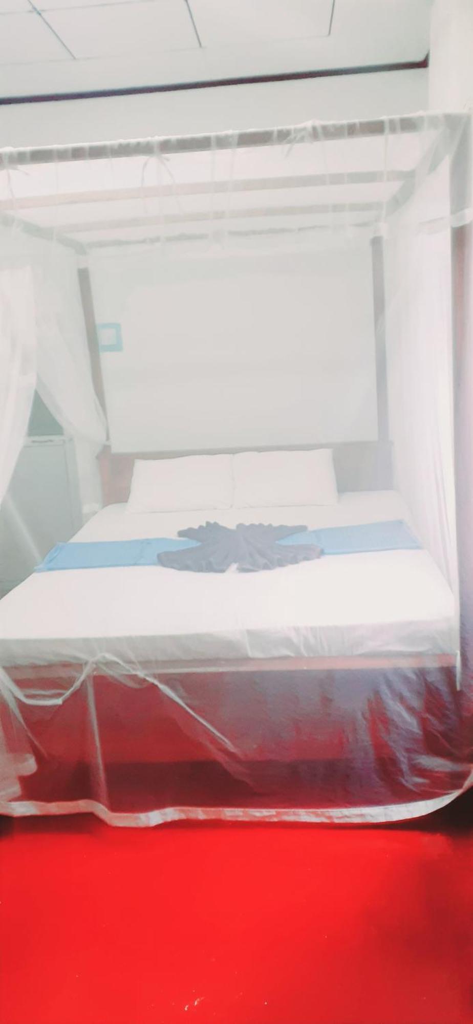 Bamboo Home Stay Hiriketiya Dikwella Phòng bức ảnh