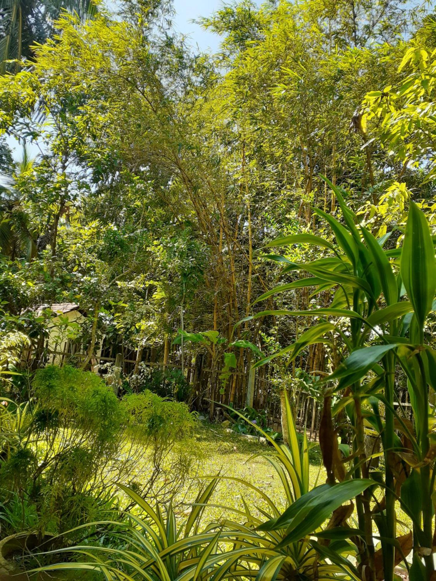 Bamboo Home Stay Hiriketiya Dikwella Ngoại thất bức ảnh